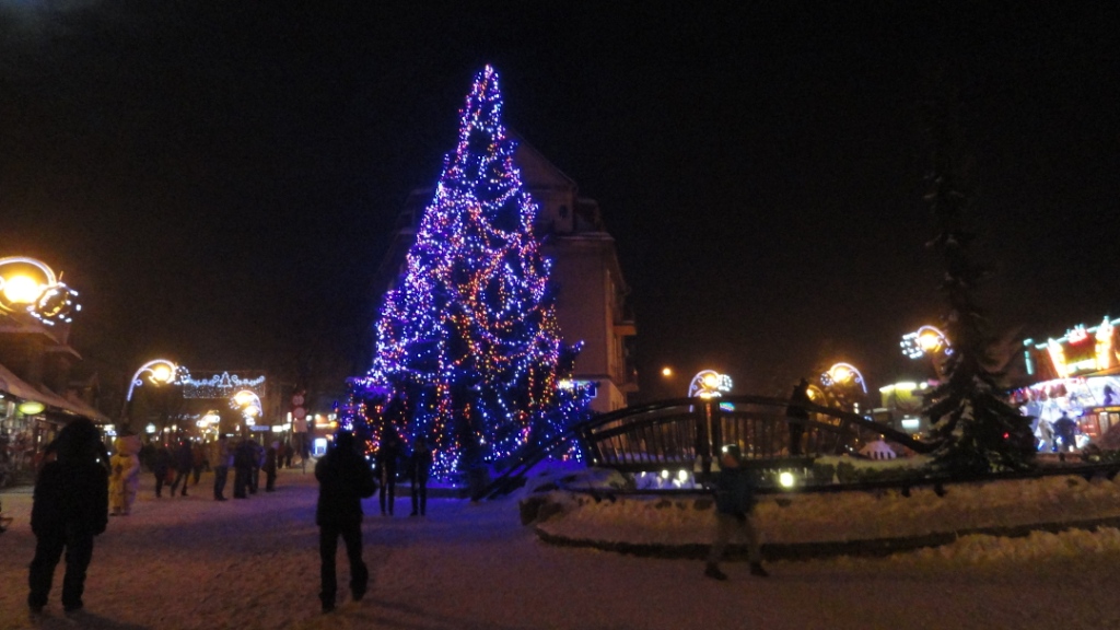 DSC02765 01.JPG
